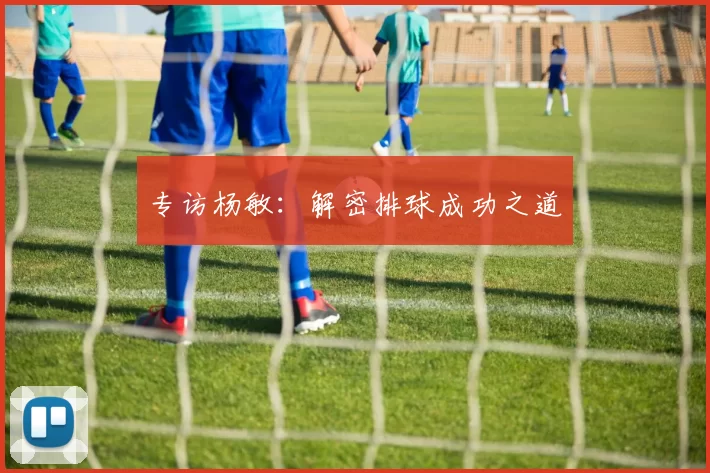 专访杨敏：解密排球成功之道