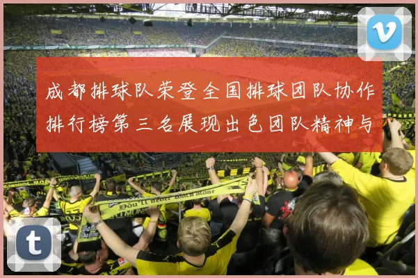 成都排球队荣登全国排球团队协作排行榜第三名展现出色团队精神与实力