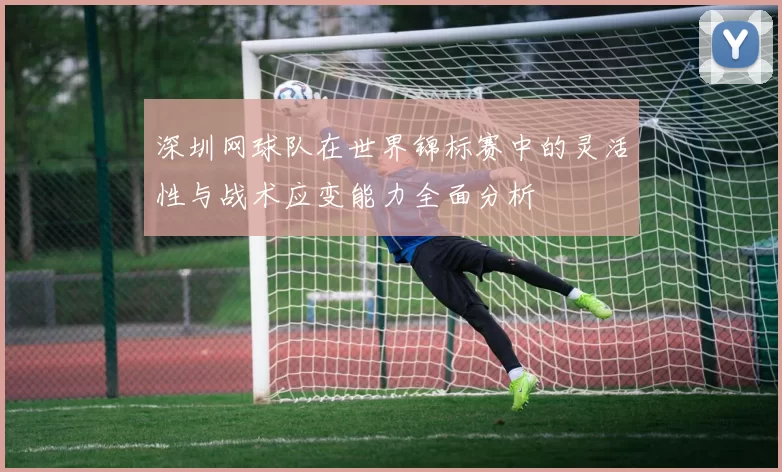 深圳网球队在世界锦标赛中的灵活性与战术应变能力全面分析