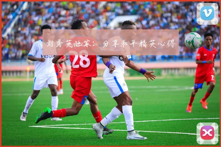 刘秀英独家：分享和平精英心得