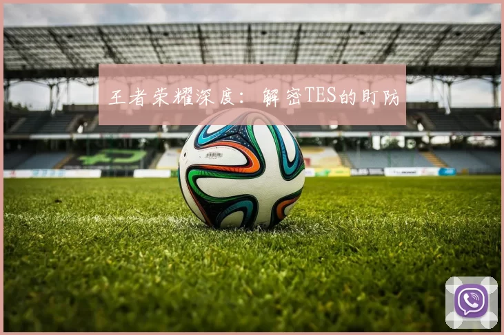 王者荣耀深度：解密TES的盯防