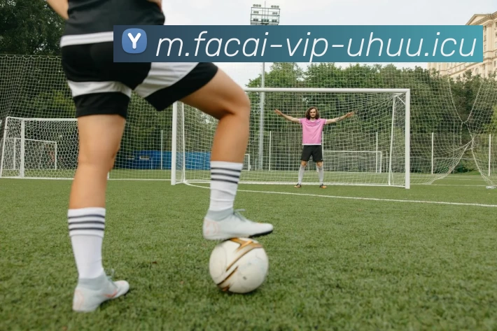 乐鱼体育发展历程